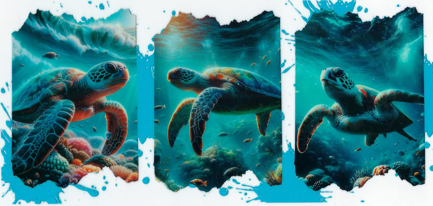 OCEANIC ANIMALS - #009 - Turtle