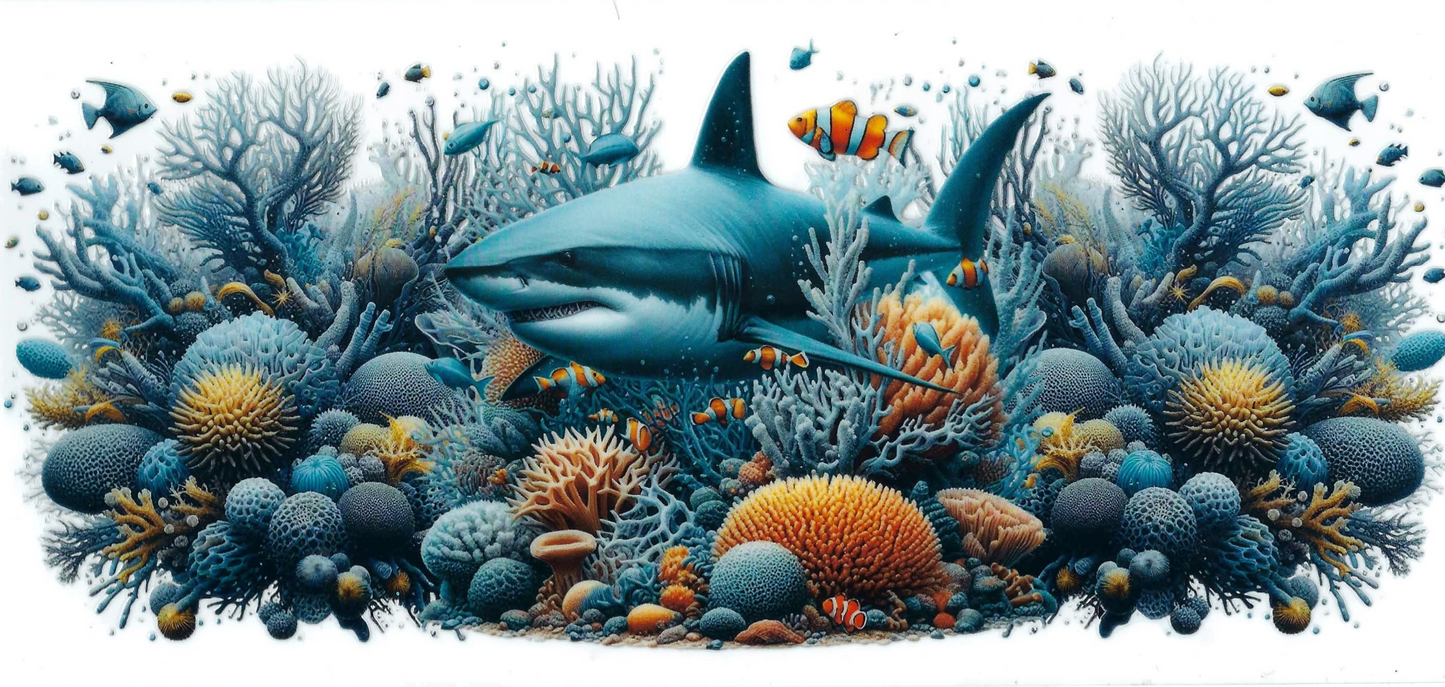 OCEANIC ANIMALS - #005 - Shark