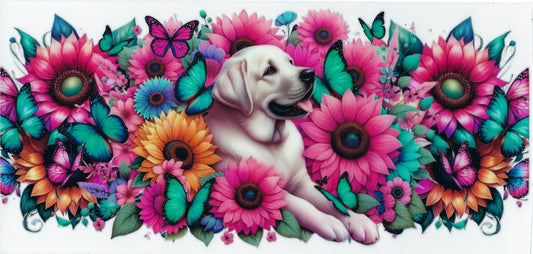 ANIMALS - #074 - Labrador