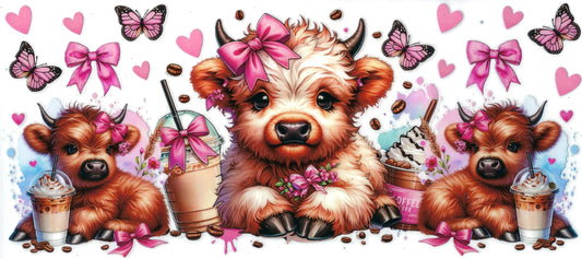 HIGHLAND COWS - #036 - Iced Chocolate Highlands