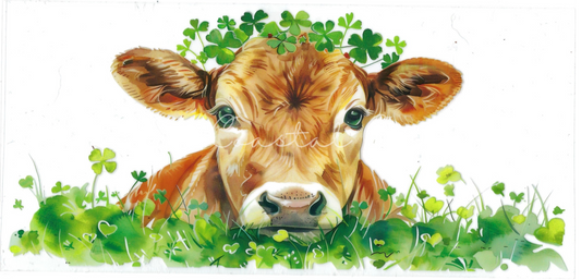 HIGHLAND COWS - #032 - Clover Highland