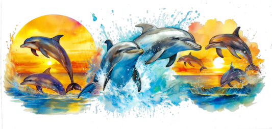 OCEANIC ANIMALS - #017 - Dolphin Sunset