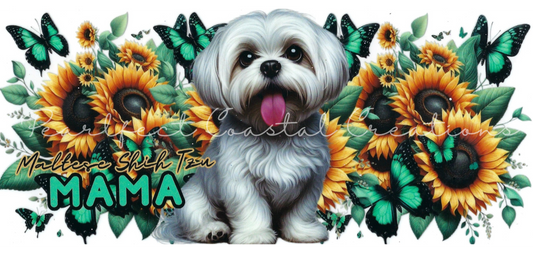 MAMA - #026 - Maltese Shih Tzu