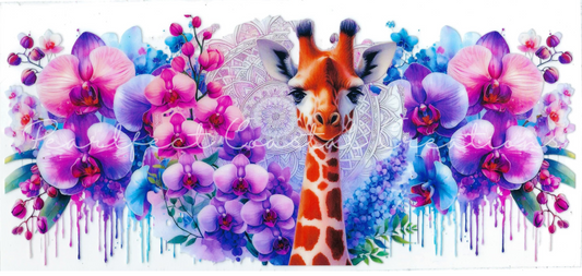 ANIMALS - #024 - Giraffe