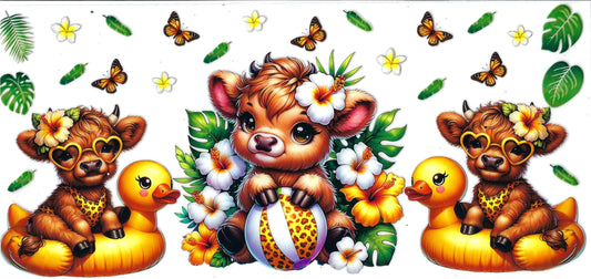 HIGHLAND COWS - #035 - Duck Highlands