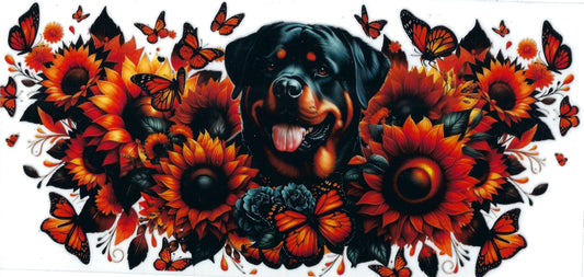 ANIMALS - #073 - Rottweiler