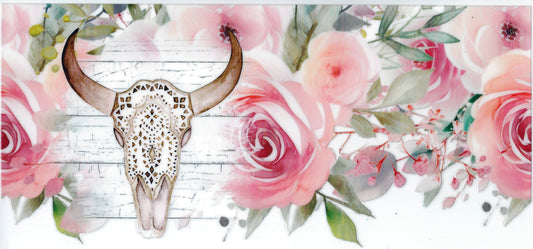 COUNTRY - #037 - Steerhead