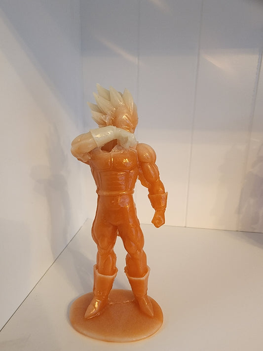 Dragonballz Vegeta-Orange