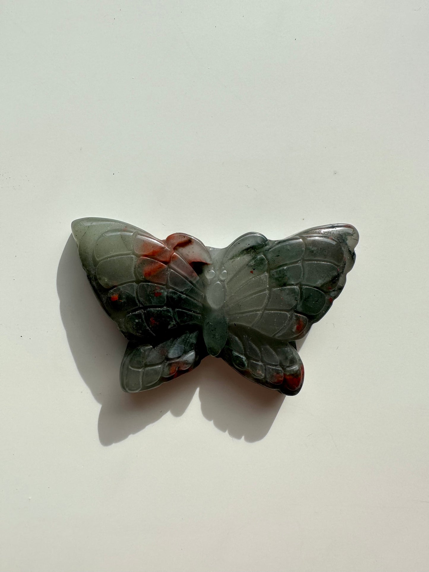 African Bloodstone Butterfly