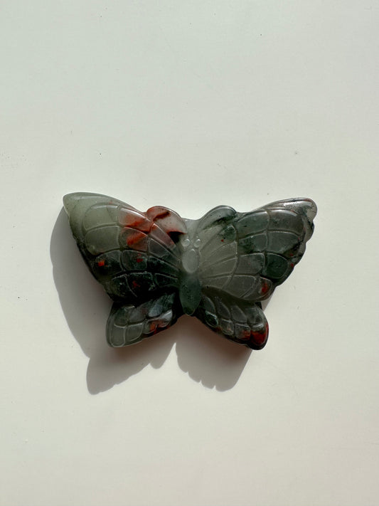 African Bloodstone Butterfly