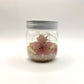 Rose Quartz Crystal Emporium